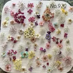No,965 特小小花ミックス ドライフラワー花材 - メルカリ