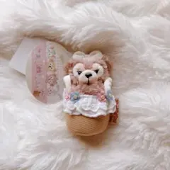 新品タグ付　ダッフィーたちのかくれんぼ　シェリーメイ　マスコット