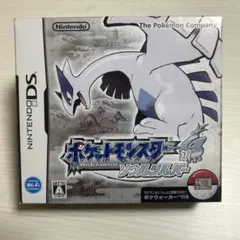 ポケウォーカー テレビゲーム