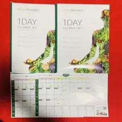 Item thumbnail for item 0f2f282c-0344-4916-942c-bebf94c2c37b