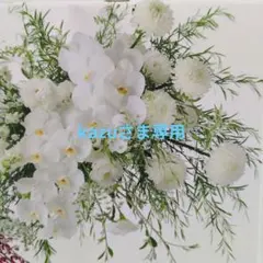 最安値☆パーフェクトワン ワンミニット 朝用シートマスク 32枚入り