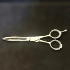 2026年最新】笹刃シザーの人気アイテム - メルカリ