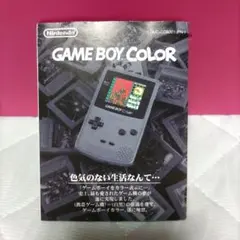 ゲームボーイカラー リーフレット【当時品　レア】