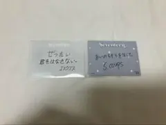 【最終価格】SEVENTEEN エスクプス メッセージトレカ メセカ
