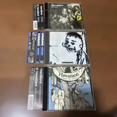 2026年最新】hawaiian6 branchの人気アイテム - メルカリ