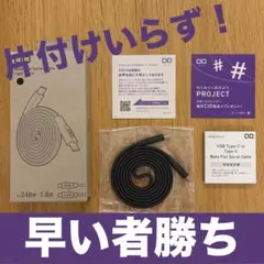 【早い者勝ち】CIO フラットスパイラルケーブル CtoC 1m ライトブラック