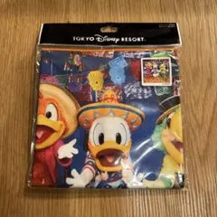 東京ディズニーリゾート ウォッシュタオル