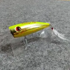 2026年最新】WaterLand トップウォーターの人気アイテム - メルカリ