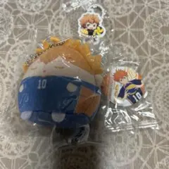 ハイキュー！！　日向