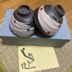 夫婦茶碗 信楽焼 茶碗 ご飯茶碗 陶器 飯茶碗 天の川日本の伝統陶器 茶碗セット
