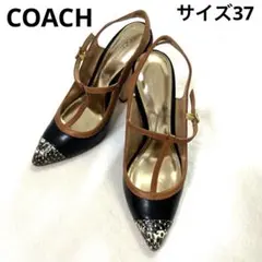 【COACH 】レザー ハイヒール パイソン 黒×茶 37 定価47,000円