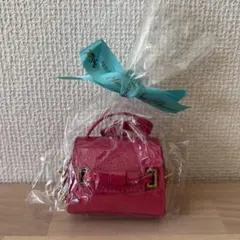 Samantha Thavasa サマンサタバサ　ミニバックチャーム