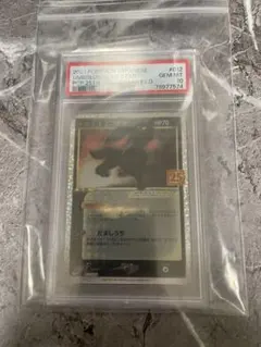 PSA10 ポケモンカード オールナイトパーティ プロモ ブラッキー 30周年