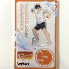 【大幅値下げ！】ハイキュー!! 水遊び アクリルスタンド 影山飛雄