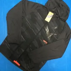 Item thumbnail for item 3c08578d-4065-447a-adbd-4ea6fe7e248c