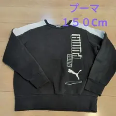 PUMA トレーナー 150Cm