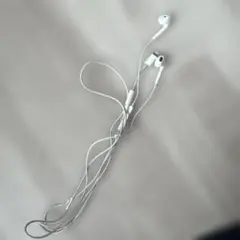 Apple 有線イヤホン Lightningコネクタ