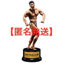 MUSCLE STARS PIECE なかやまきんに君 フィギュア 3点セット - メルカリ