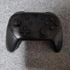 ジャンク品・箱無し・Nintendo Switch Pro Controller