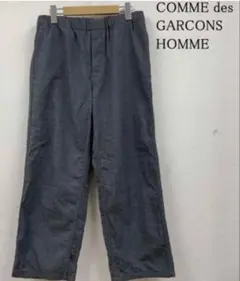 COMME des GARCONS HOMME ストライプ　バンツ