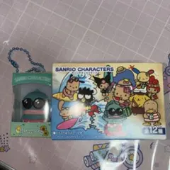 サンリオキャラクターズ ミニチュアキーホルダー ハンギョドン
