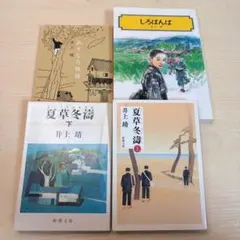 Item thumbnail for item 122d0208-2e0f-46fc-bdcd-d21262f8e3d4