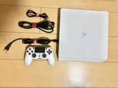 PlayStation 4 CUH2000B 大容量1TB