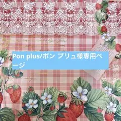 Pon plus/ポン プリュ様専用ページ