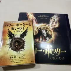 ハリー・ポッターと呪いの子 小説 パンフレッド