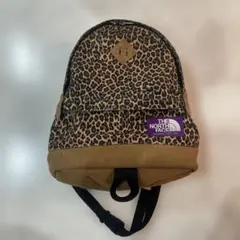 the north face PURPLE LABEL nanamica コラボ