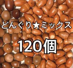 Item thumbnail for item 23b3f28f-6433-4979-85ad-af7ee2c75e82