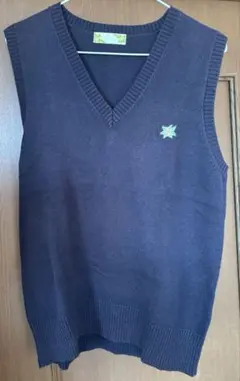 ネイビー Vネック ニット スクールベスト高校生