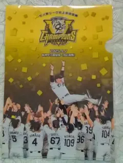 【数量限定品】阪神タイガース 2025 リーグ最速優勝記念　クリアファイル胴上げ