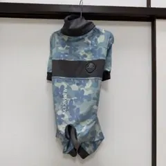 Item thumbnail for item 7b986663-3b43-4770-848c-53c7799190f7