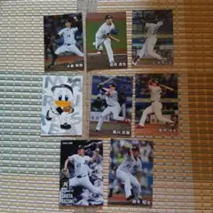 プロ野球 トレーディングカードセット カルビー