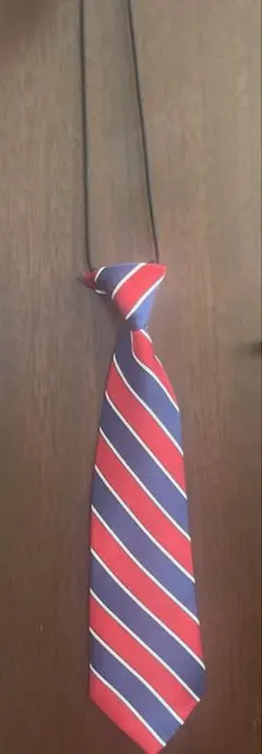 キッズ　ネクタイ　ストライプ
