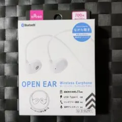 OPEN EAR Wireless Earphone