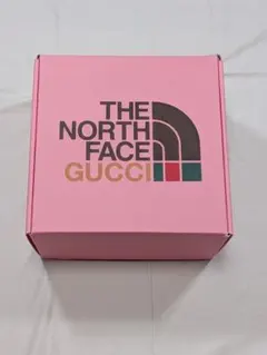 THE NORTH FACE x GUCCI ギフトボックス スタッフサック