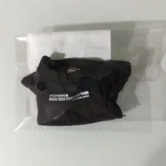 お値下げ中 RIIZE 10CM キーホルダー用 Tシャツ ウォンビン