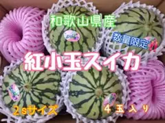和歌山県産　甘～い♥️紅小玉スイカ　４玉入り　みかんキング　数量限定‼️➂のサムネイル