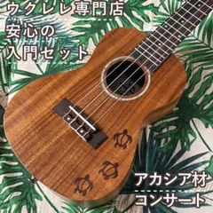 入門セット】Matildaセミカッタウェイのコンサートウクレレ【UK専門店
