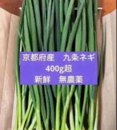 【採れたて新鮮！】京都府産 伝統野菜　無農薬　九条ネギ 400gのサムネイル