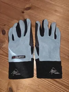 Item thumbnail for item 231e36ae-b413-4726-aaa6-534e1726ab8c