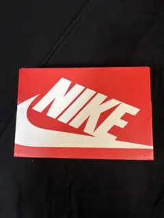 NIKE AIR MAX 95 BLACK/WHTE ブラックボーダー