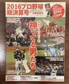 大谷翔平プロデビュー戦チケット半券2013年3月29日 日本ハム対西武