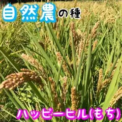 himawari333様 リクエスト 2点 まとめ商品