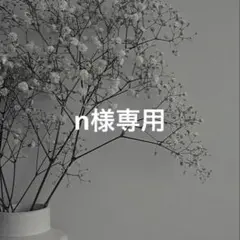 n様専用