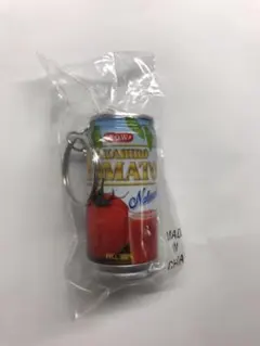 EXILE TAKAHIRO 缶ジュースキーホルダー SOW