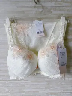 トリンプ フロラーレ 8700 女性らしさが華ひらくブラジャー&ショーツ