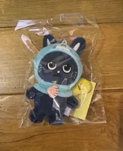 Item thumbnail for item 5456be74-365e-446f-a421-c803a09df6e8